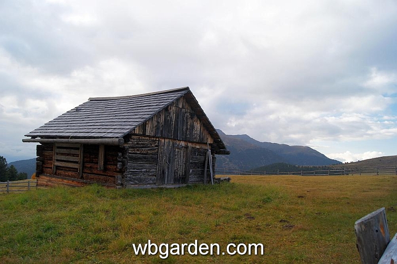 wbgarden alps 56.JPG